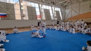 Дмитрий Яковлев - Президент Федерации Каратэ-До Шотокан России. Подсечки в спортивном каратэ.