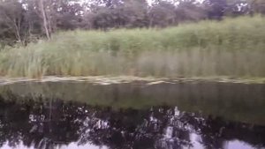 Mercury F 6 M и ЛОДКА BADGER  (ПВХ)