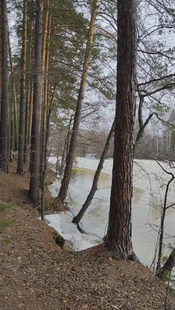 Отдыхаю, глядя на природу