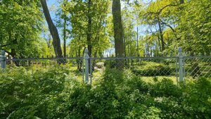 Александрийский парк. Петергоф.