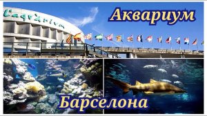 Аквариум Барселона (Aguarium de Barcelona)