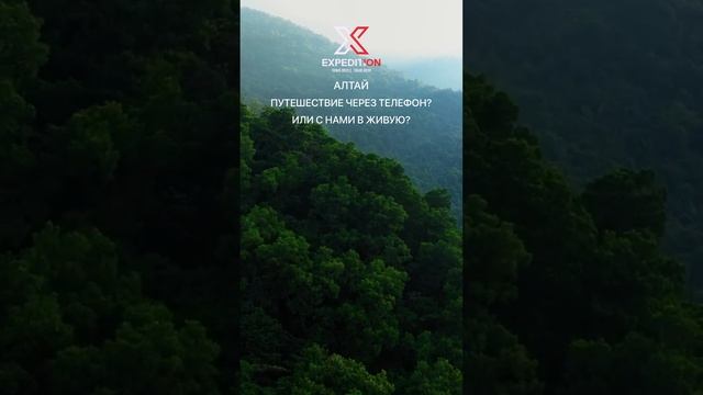 Алтай. Телефон или в живую? #алтай #горы #лето #туры #путешествия #сибирь #beautiful #altay #moscow