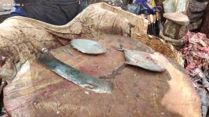 KASIMEDU 🔥 SPEED SELVAM | BIG SIZE WHITE VAVVAL FISH CUTTING VIDEO | 4K VIDEO | KM FISH CUTTING