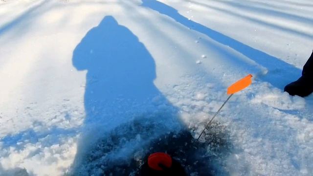 ЛОВЛЯ ЩУКИ НА ЖЕРЛИЦЫ В СИЛЬНЫЙ МОРОЗ | ЛУНКИ ЗАМЕРЗАЮТ НАПРОЧЬ! | ЗИМНЯЯ РЫБАЛКА 2023 смотреть онлайн