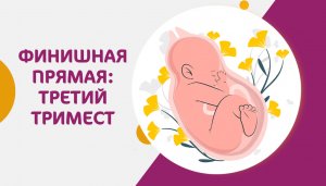 Главное о третьем триместре