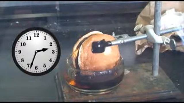 Чизбургер в желудке