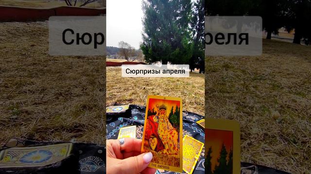 Сюрпризы апреля #таро #тароонлайн #раскладонлайн