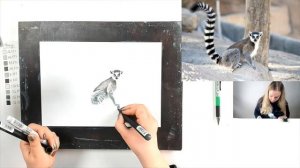 Мастер-класс по скетчингу «Кошачий лемур» | Как нарисовать лемура поэтапно