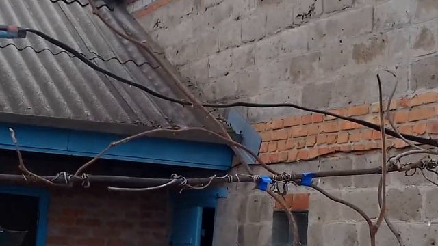 05 03 2021 Киви Стратона без укрытия смотреть онлайн