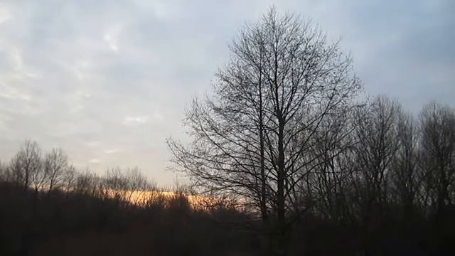 Релаксация. Рассвет. Звуки Природы. Пение Птиц (Relax) смотреть онлайн