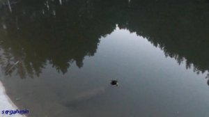 ЧИСТЫЕ ПРУДЫ.САНАТОРИЙ СЕРЕБРЯННЫЕ КЛЮЧИ в СЕРГАЧЕ.Родниковая вода.
