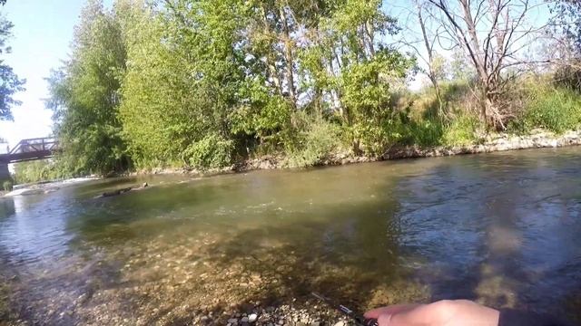 Усач(Barbe)на силиконовые приманки. рыбалка во Франции. sportex Carat GTS ULR. Teil 2 смотреть онлайн