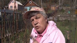 Голова садовая - Как правильно ухаживать за малиной