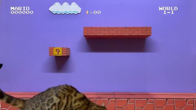 Супер Марио кошачье прохождение ?. Уровень 1-1 смотреть онлайн