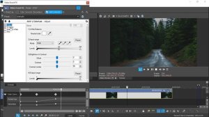 Vegas Pro 17 Как изменить цвет дерева в видео. Урок #10