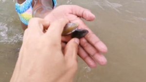 ПЛЯЖЫ ТУРЦИИ. ЖЕМЧУЖИНА ЧЁРНОГО МОРЕ