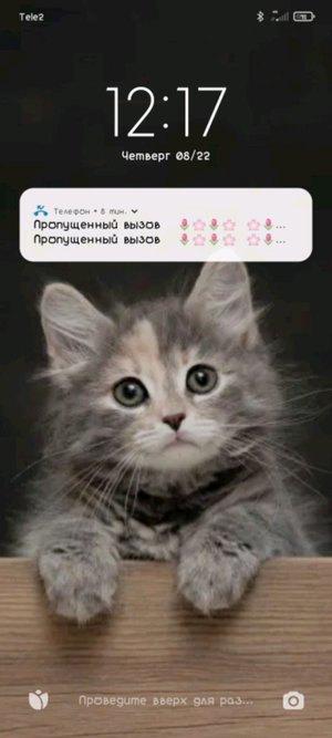 Адрес: улица, номер дома/квартиры, населенный пункт, страна, почтовый индекс