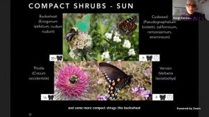 Presentation: Gardening for Butterflies