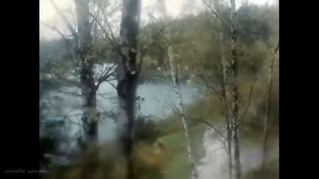 Христианские песни, Память  Александр Старостенко