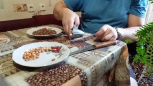 Как очистить лесной орех от скорлупы? / Как очистить фундук?