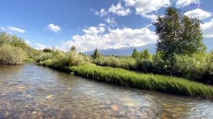 ПРИРОДА ГОРОДА РИДДЕР, ЛЕТОМ | RIDDER NATURE | GRIGORIY