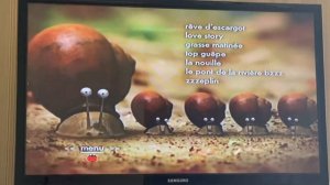 DVD меню Букашки (французская версия)