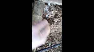 Коп с ХР ORX. Больница.