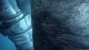 Маяковский "Атлантический океан"