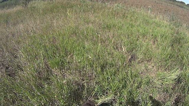 МЕЛОЧЬЮ ТОЖЕ МОЖНО НАБРАТЬ ХОРОШИЙ ВЕС! Коп металлолома