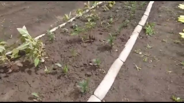 Ландшафтный дизайн | Бордюры своими руками смотреть онлайн