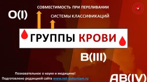 Группы крови: Системы классификаций, совместимость при переливании и возможные проблемы