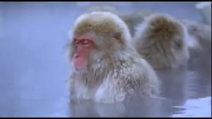 Гипноз!Установка на Трезвость.