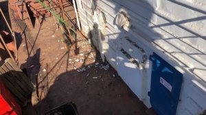 «Омский»- Жабовоз моей мечты/ Ремонт Омского/ Жабодавы/ Эпическое воскрешение мертвеца/ река-море