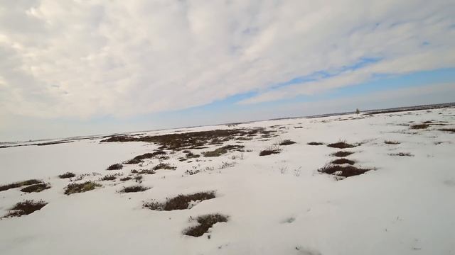 охота в лесотундре Вынгаяхи. смотреть онлайн