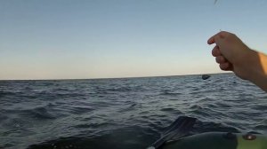Ловим на самодур и силиконовые приманки  в Черном море