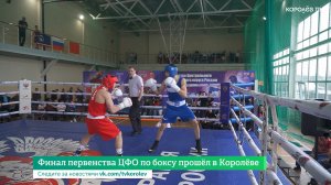 Финал первенства ЦФО по боксу прошёл в Королёве