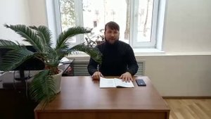 кабаны и дальний лес