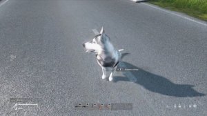 DayZ как приручить собаку