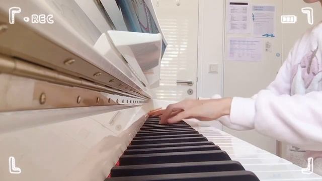 one flower one sword 一花一剑 - heaven official’s blessing piano cover || tgcf || zoe wang смотреть онлайн