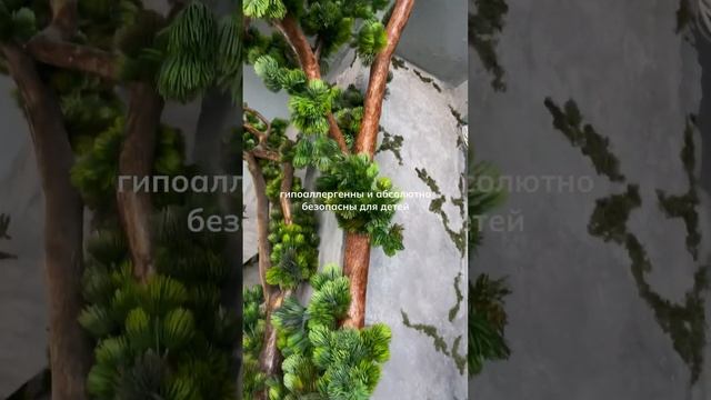 Тренд интерьера 2023-2024 #дизайнинтерьера #дизайнинтерьераквартиры #интерьердома #дизайнофиса