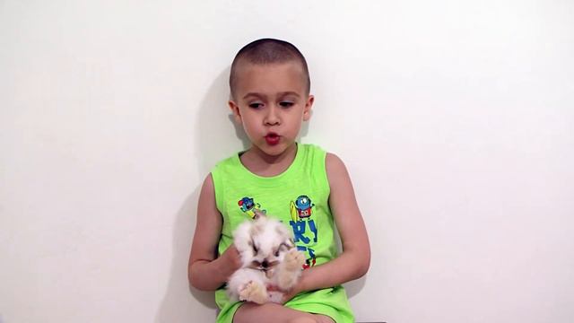 Сын выпросил кролика. смотреть онлайн
