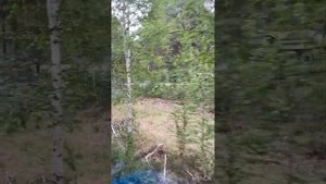 Детская железная дорога в Тюмени. Набережная.