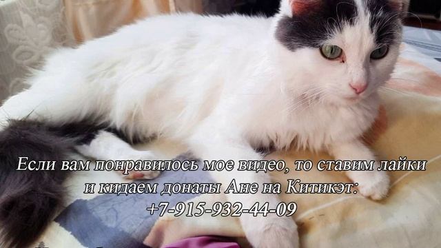 Звонит служба безопасности сбербанка и представляется полицией