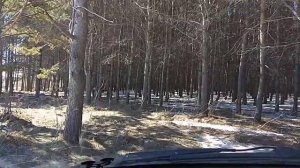 Пробуем Хендэ Старекс на бездорожье