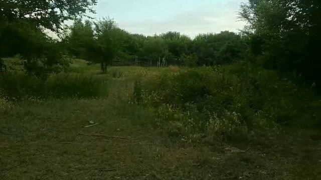 Блог. Собираем щебень для фундамента, возим на тачке. Планы на отпуск смотреть онлайн