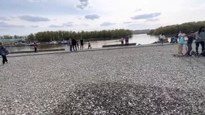 ЕДЕМ В ОМСК. ИЗМЕНИЛСЯ ЛИ ГОРОД ЗА 10 ЛЕТ?