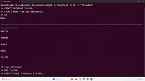 Using SQL Server inside of Docker