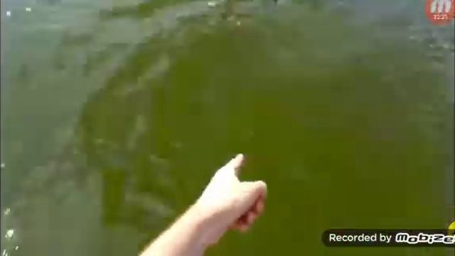 24 часа на картонной лодке ***часть 2*** смотреть онлайн