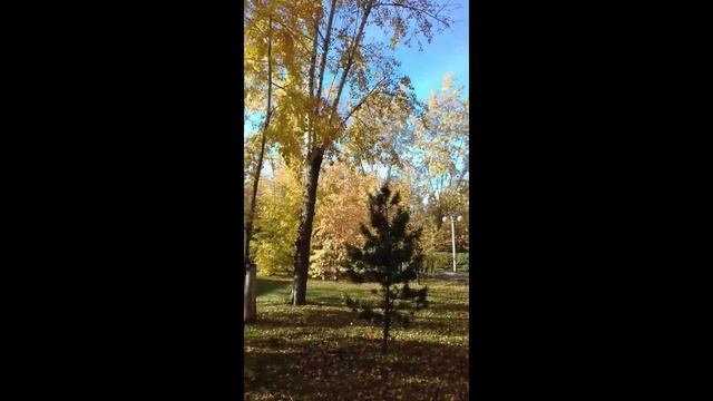 Золотая осень