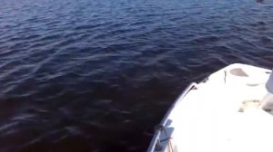 Рыбалка на раскатах в Астрахани